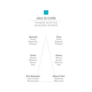 Aria de Capri Eau de Parfum - 100ml